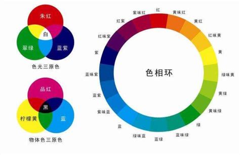 顏色元素|【顏色介紹】色彩迷宮揭秘：十二色譜全指南，配色技巧不再迷茫